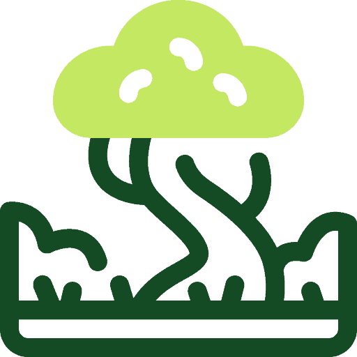 Beautiful landscaped tree with lush green foliage and artistic design.