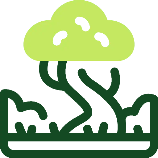Beautiful landscaped tree with lush green foliage and artistic design.