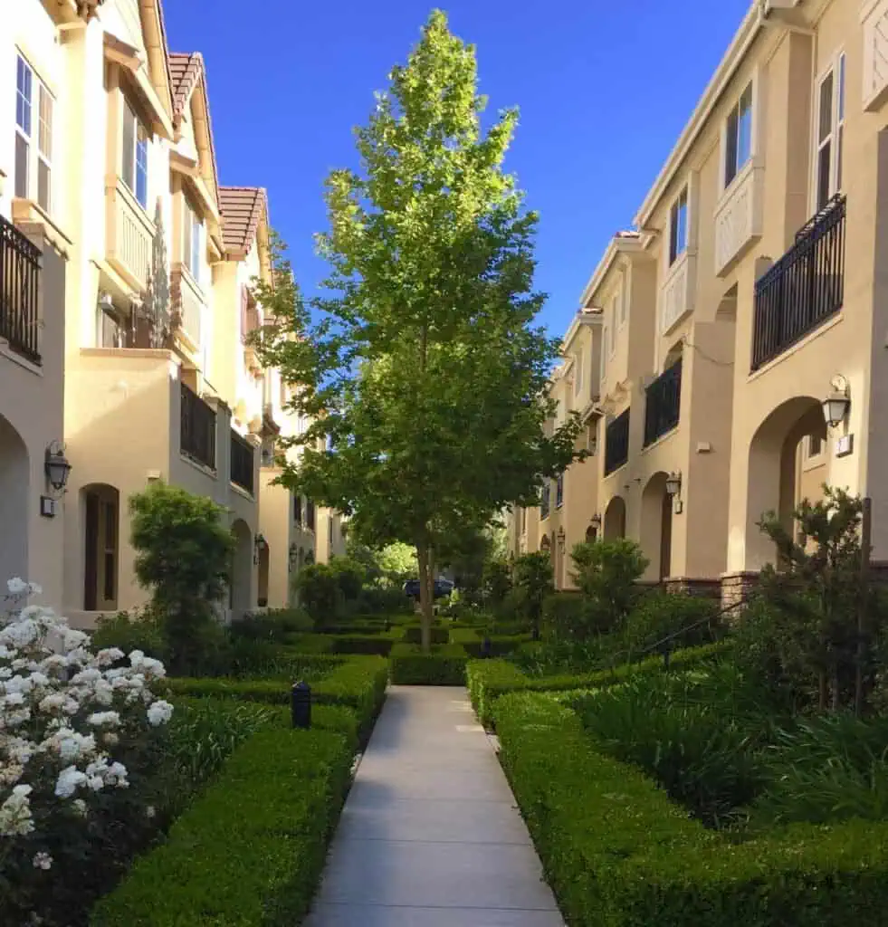 Residential landscaping with a central tree and well-maintained garden beds.