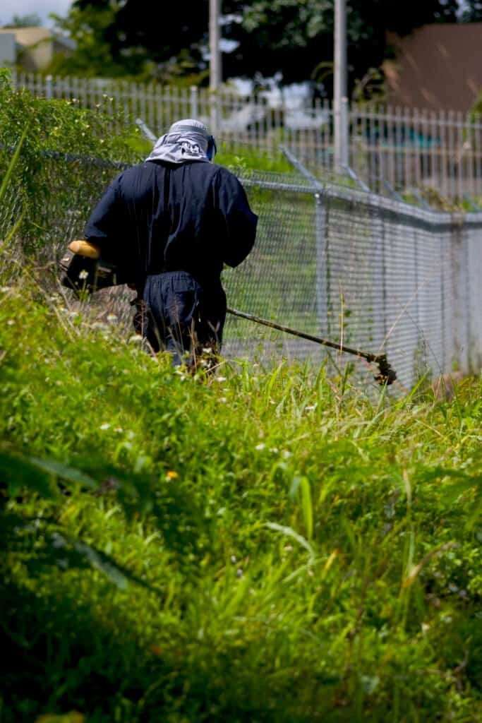 Worker trimming overgrown grass in a residential yard with gardening tools.