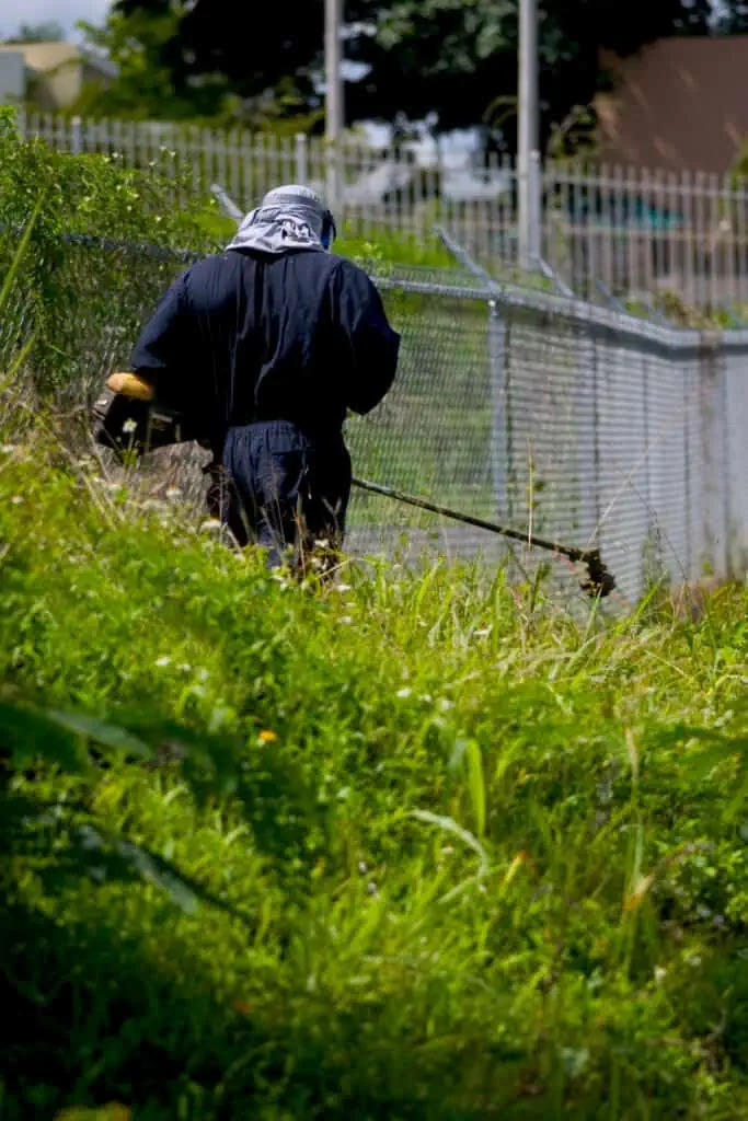Worker trimming overgrown grass in a residential yard with gardening tools.